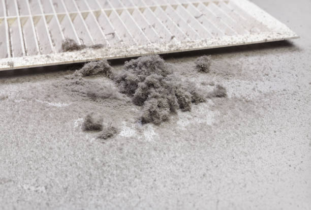 Best Best Air Duct Cleaning Company  in Bagley, MN