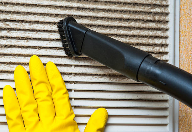 Best Home Air Vent Cleaning  in Bagley, MN
